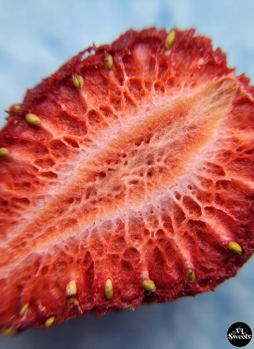 A macro close-up of the cellular structure of a freeze-dried strawberry.